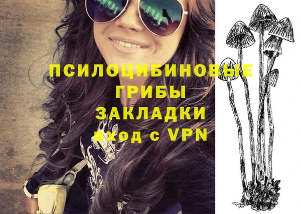 хмурый Балабаново