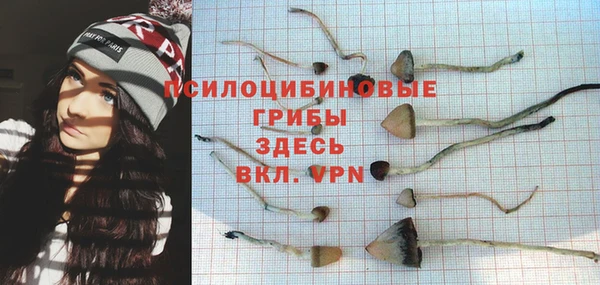 хмурый Балабаново