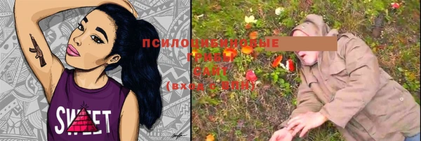 дживик Балахна